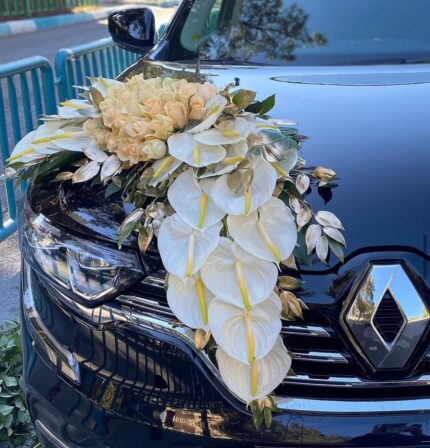 ماشین عروس در سنندج